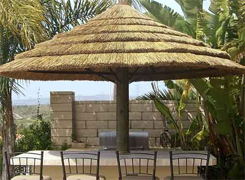 reed thatch
