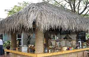 palm thatch