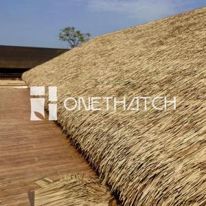 Why You Should Invest In Synthetic Thatch?