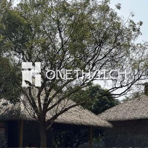 Synthetic Balinese Thatch Roofing Materials