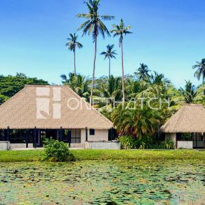 Maldives Thatch Roof Replacement: Durable, Maintenance-Free Solutions from the Direct Manufacturer