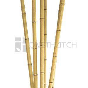 Bamboo Pole (Sundried Color, Synthetic Bamboo)