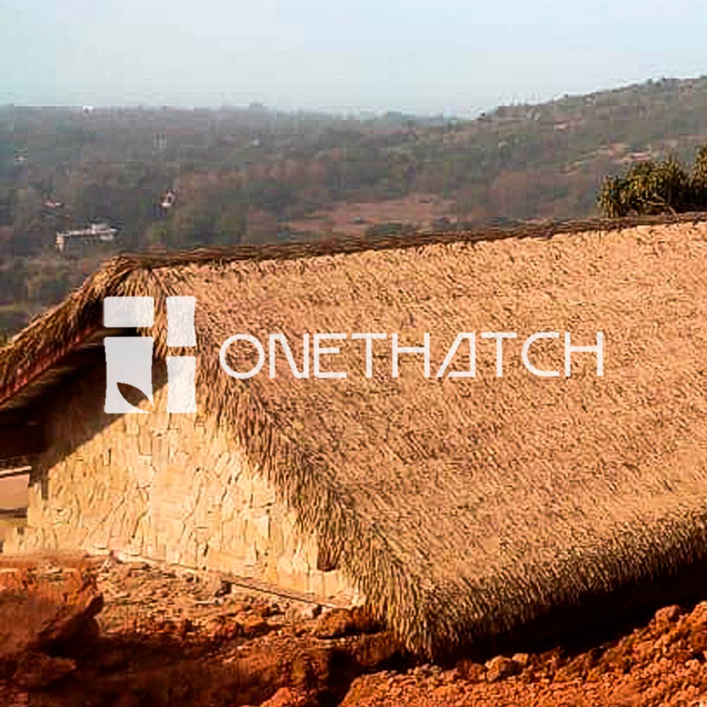 ONETHATCH Vetiver Straw (Sundried Color); Thatched Roofing Materials for Vetiver and Kajan Roof