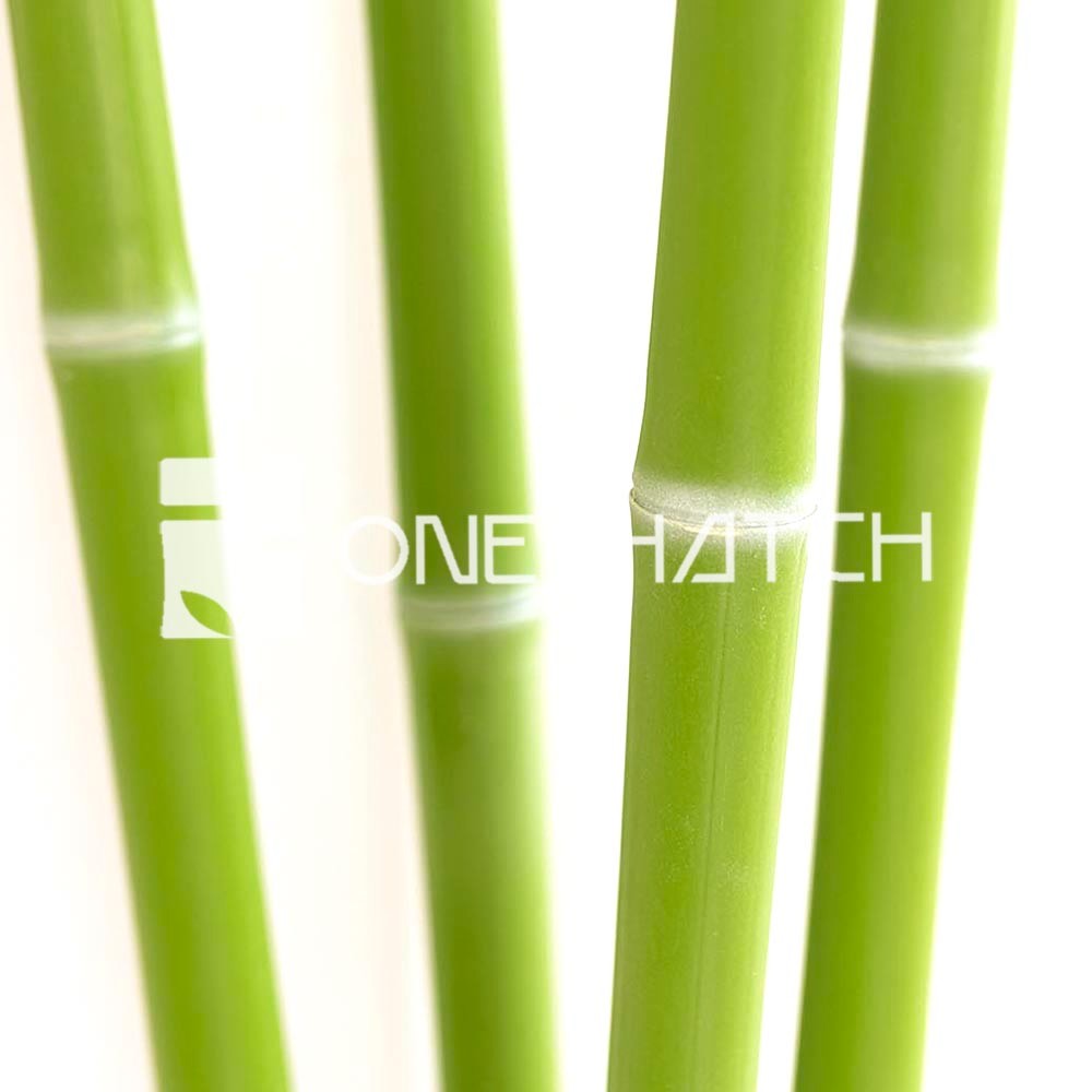 Bamboo Pole (Olive Color, Artificial Bamboo Poles)